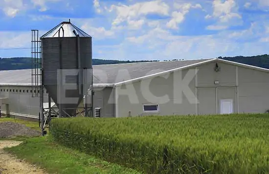 poultry shed