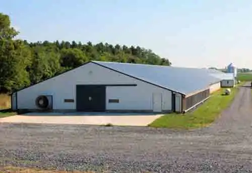 Poultry Sheds